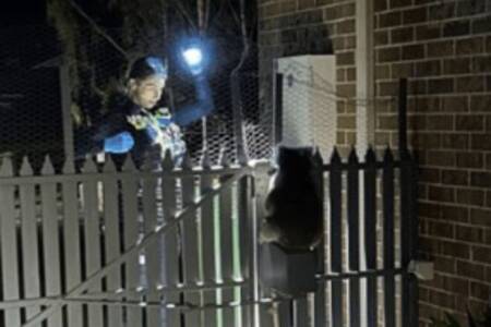 Police make furry discovery after responding to terrified resident in Melbourne’s outer-east