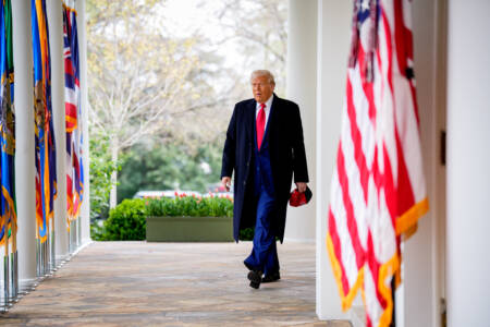 Business expert claims Trump’s ‘self destructive’ tariffs will sow ‘chaos and destruction’