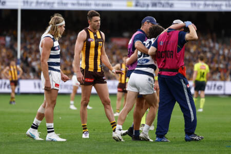 Rory Sloane and Matthew Richardson’s snap reaction to Conor Nash’s ‘wild swing’