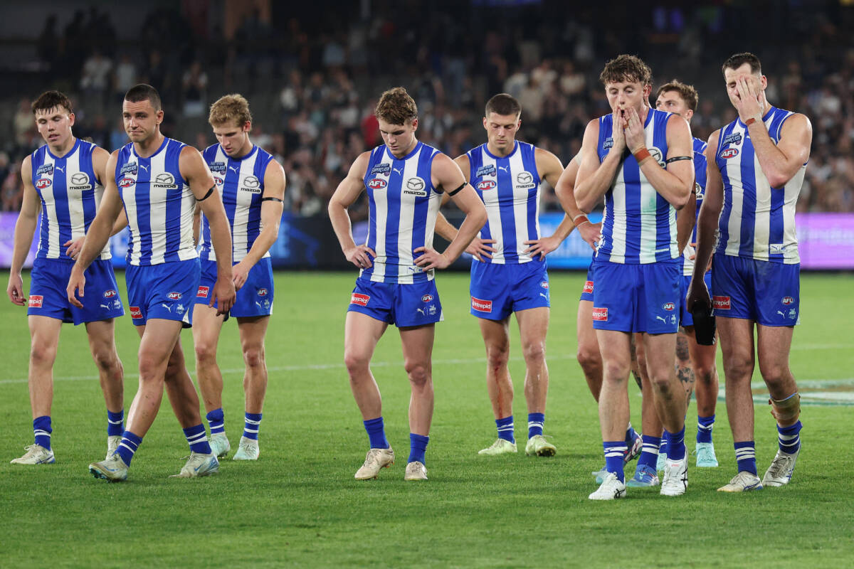 Article image for Matthew Lloyd’s frank analysis on the players North have paid ‘way too much’ for