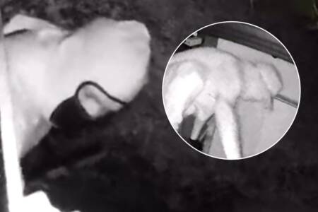 Man threatened with firearm in terrifying aggravated burglary in Melbourne’s north-west