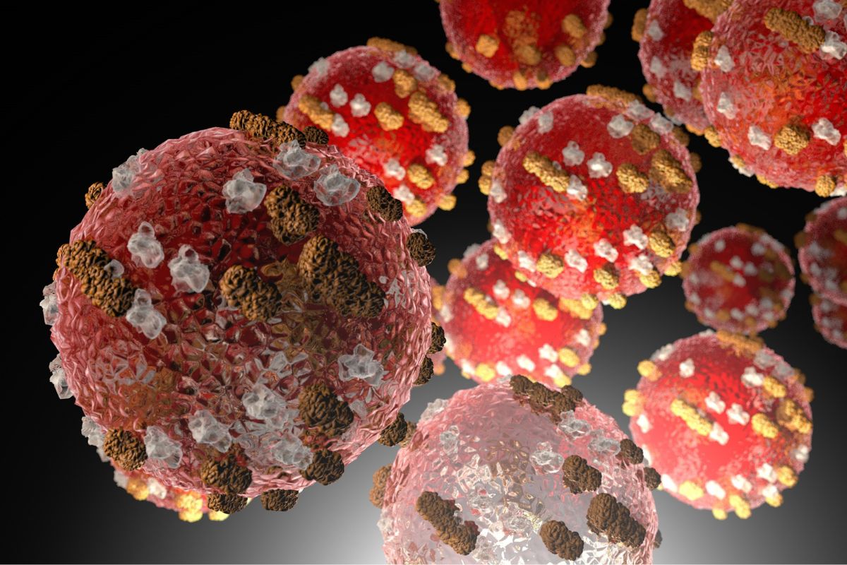 Article image for Why adults are more vulnerable than children amid Victoria’s big measles outbreak