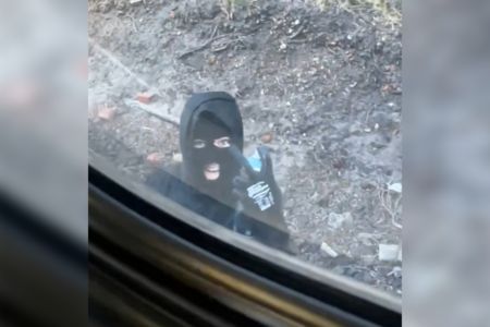 ‘Very bizarre’: Kids captured vandalising train in broad daylight