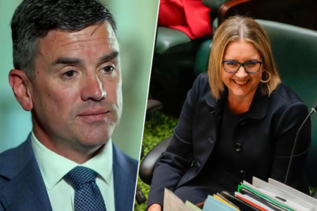 ‘We’ve seen that happen so many times’: Expert claims Liberals likely to struggle in future state elections