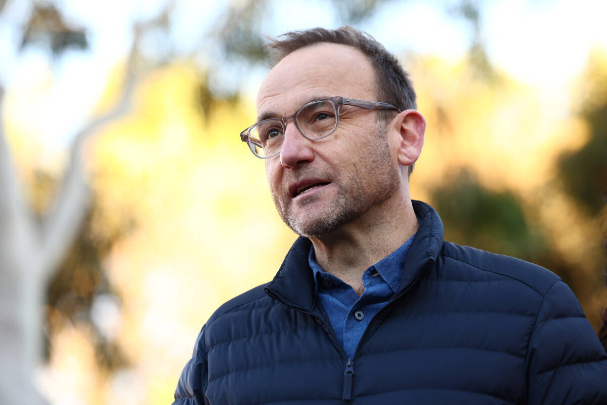 Article image for Greens performance on election night labelled a ‘disaster’
