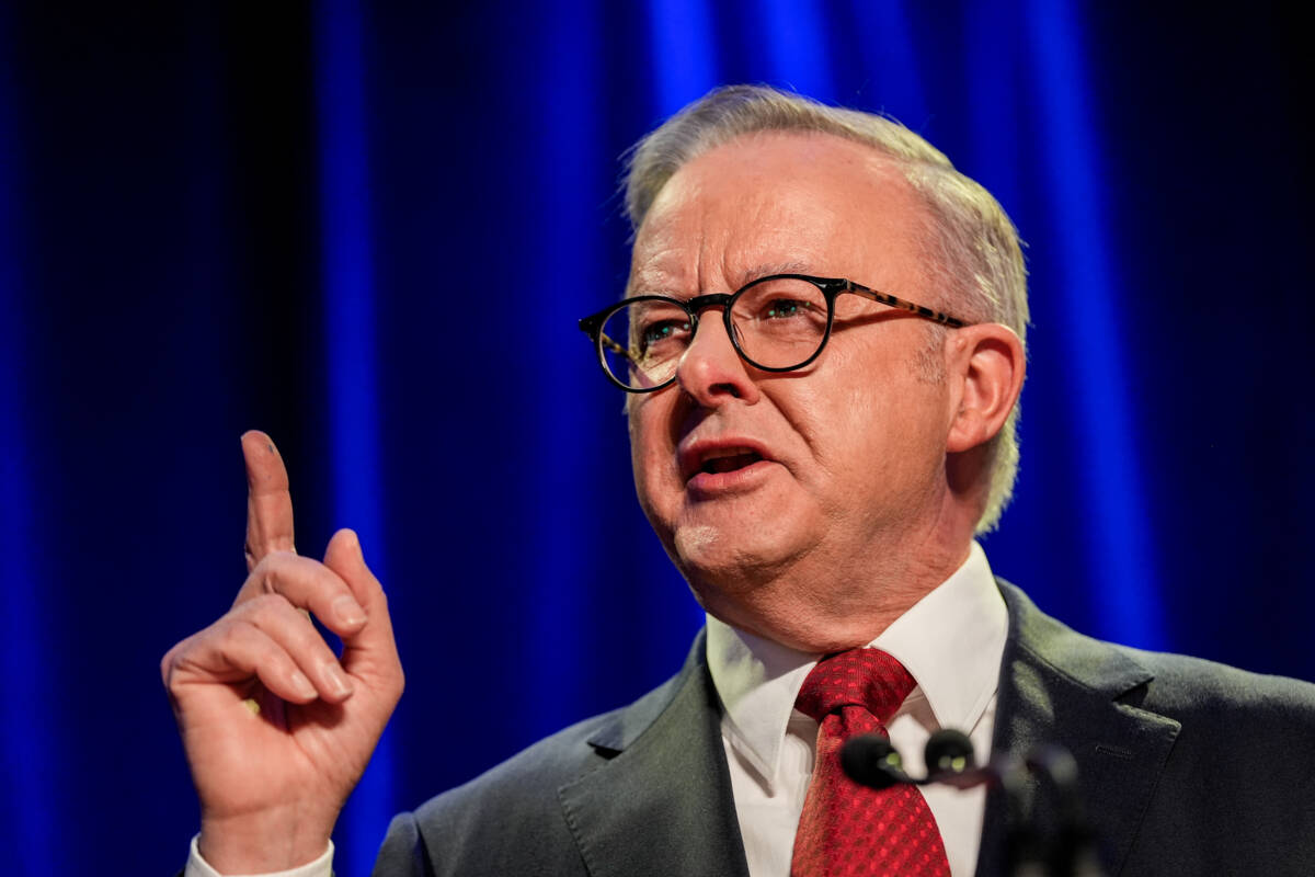 Article image for Hear the moment Anthony Albanese was re-elected Prime Minister