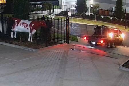 Thieves steal fibreglass cow from business in Melbourne’s west