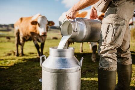 Dairy production hampered by dry south and wet north