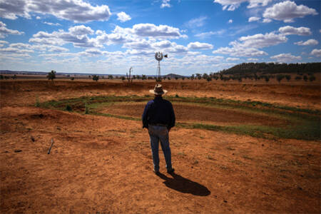 Southern drought creeping into NSW prompts fresh calls for financial assistance