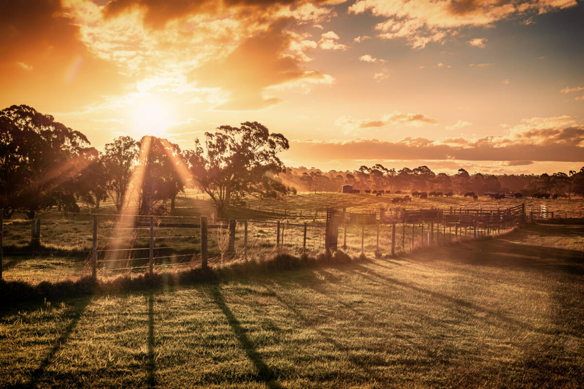 Article image for Farmer breaks down on air detailing ‘bloody hard’ working conditions