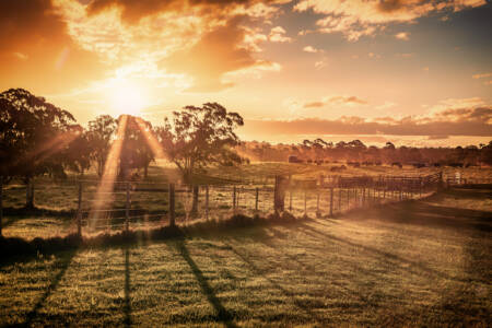 Farmer reveals how new fire services levy will impact farmers around the state