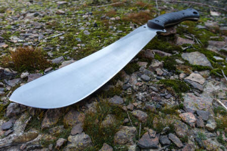 Opposition leader left frustrated as government makes big call on machete sale ban