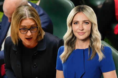 Jacqui Felgate questions Jacinta Allan on SRL funding after federal election result