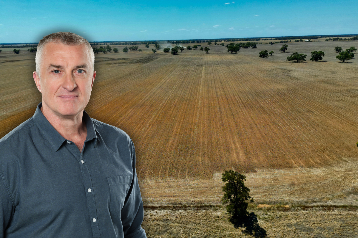 Article image for ‘This is a bad tax’: Tom Elliott reacts to the ‘spectacularly’ bad fire services levy