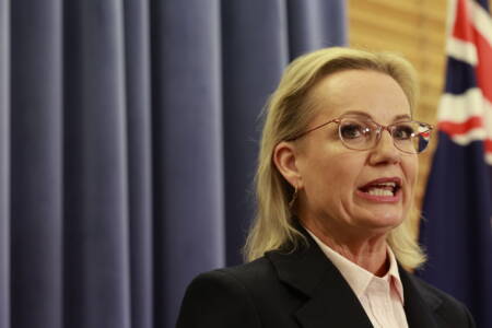 Sussan Ley takes aim at ‘reckless’ Tasmanian Labor party, clarifies reason behind name change