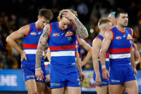 Rory Lobb admits Western Bulldogs ‘not where we want to be’ after disappointing Hawks loss