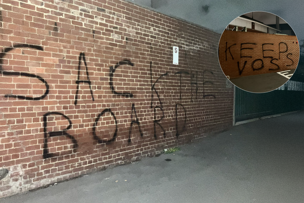 Article image for ‘Sack the board’: Carlton training ground defaced by angry Blues supporters