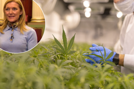 Former upper house member reveals why she supports discussion of legalising cannabis