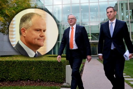 Shadow treasurer takes Albanese government to task after leaked Treasury advice