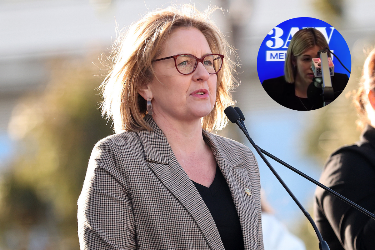 Article image for Shadow minister slams Allan government over child safety responsibility
