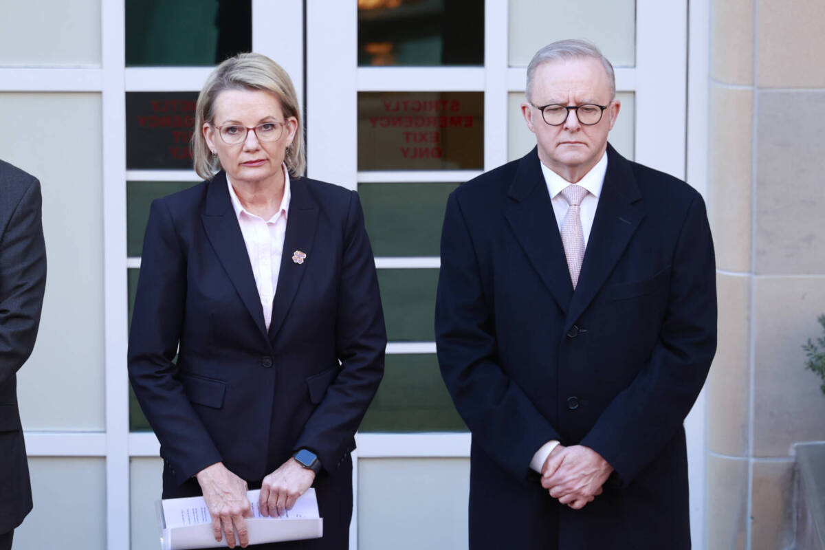 Article image for Sussan Ley believes IRGC terrorist group listing should have ‘taken place earlier’