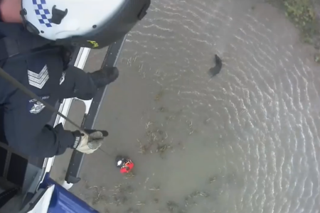 Man rescued by police after getting stuck in mud in Melbourne’s south-east