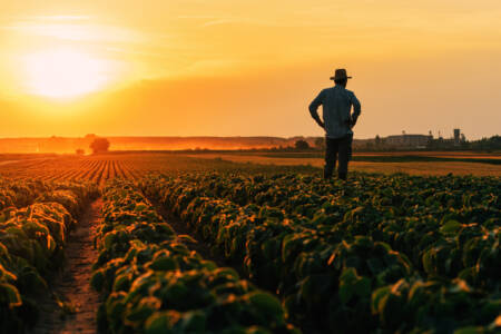 ‘Breaking point’: Farmers set to protest against government treatment