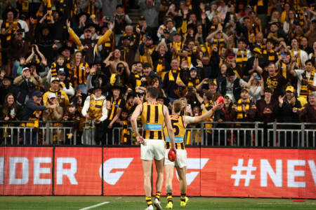 ‘Embarrassing’: Airlines slammed for price gouging Hawthorn fans ahead of Semi Final
