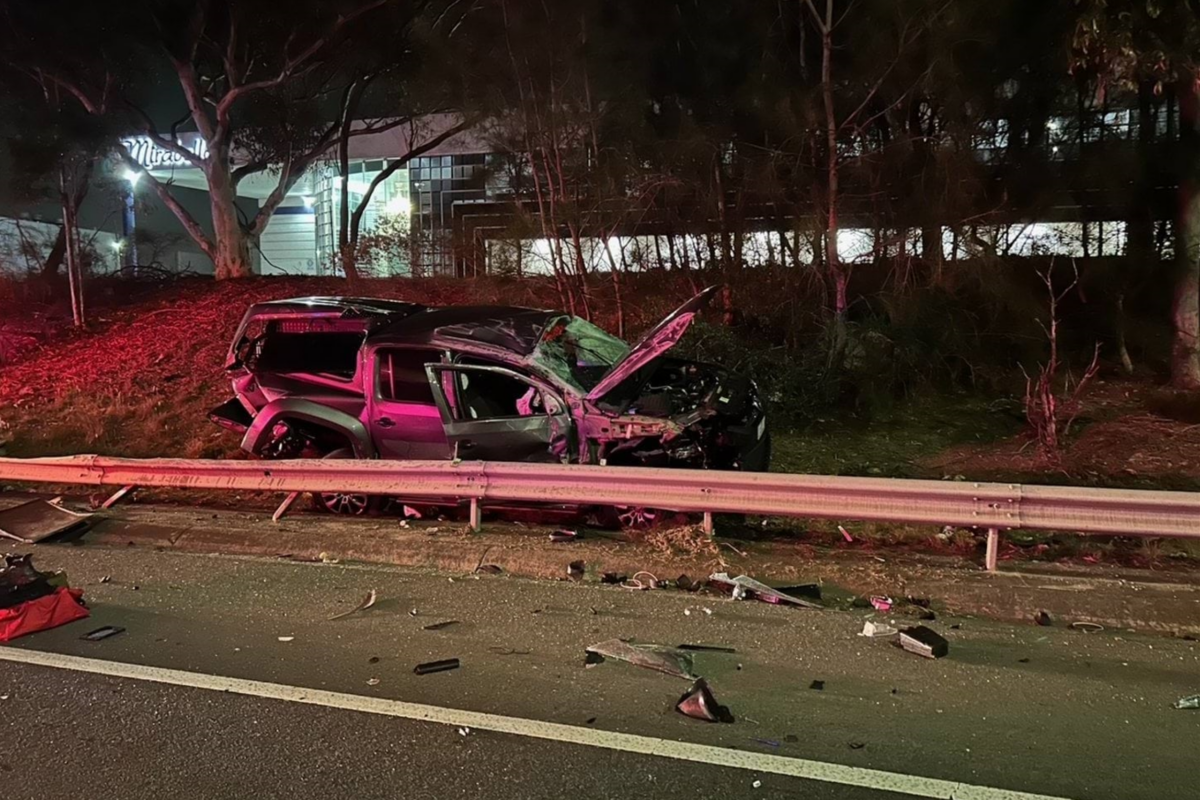 Article image for Man charged after police dog injured in Tullamarine smash