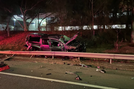 Man charged after police dog injured in Tullamarine smash