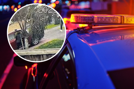 Children abducted, ‘dumped’ on roadside in horror carjacking