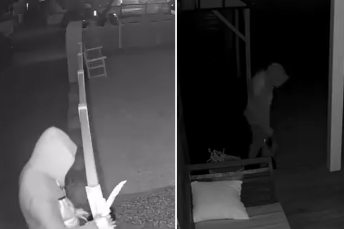 Article image for Jacqui Felgate reveals more serious incidents involving machetes