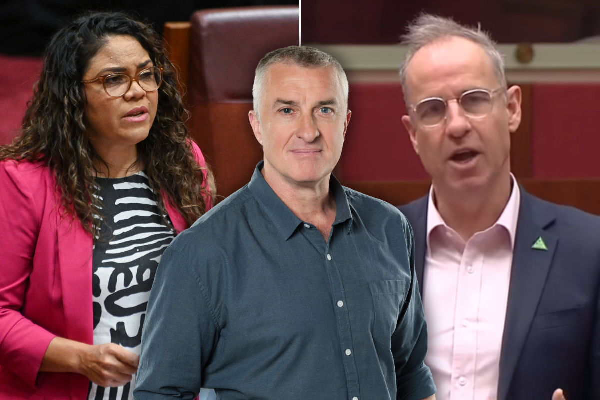 Article image for The scenes in the Senate Tom Elliott found ‘extraordinary’