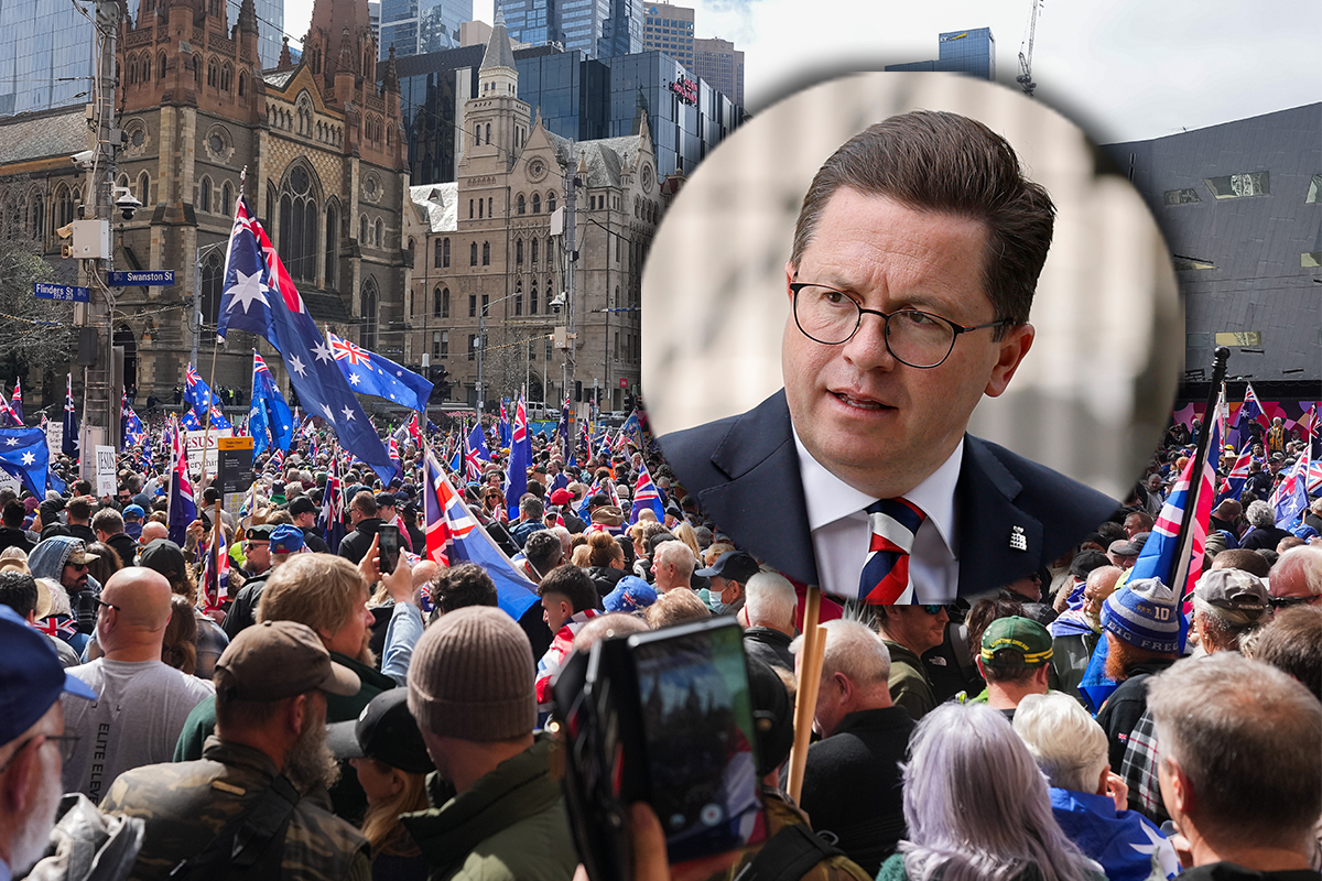 Article image for ‘He’s bloody wrong!’: Protester fires up over Anthony Carbines’ ‘unhinged grubs’ comment