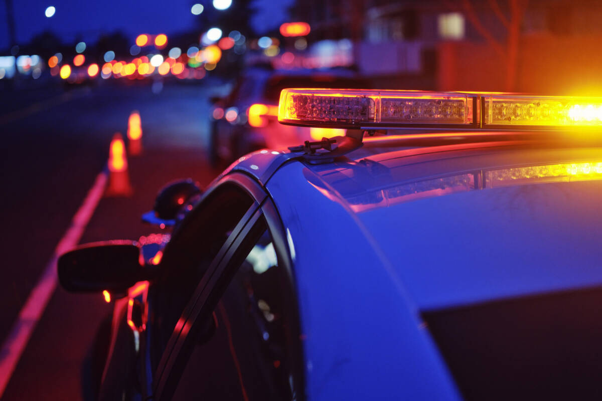 Article image for Alleged machete murderers should have ‘mugshots plastered everywhere’