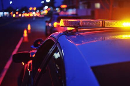 Alleged machete murderers should have ‘mugshots plastered everywhere’