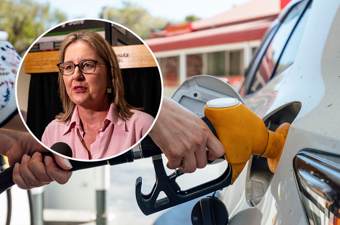 Article image for ‘They are tracking you’: Allan-Labor government launch ‘Servo Saver’ app