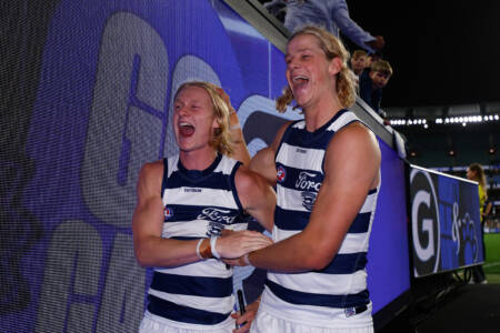 Matthew Lloyd weighs in on St Kilda’s rumoured play for Geelong star