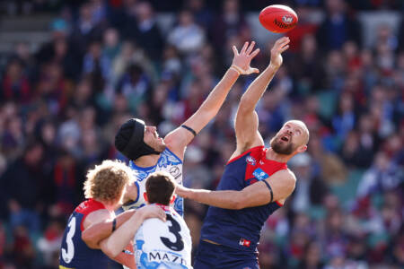 Former AFL player and umpire’s snap reaction to rule changes