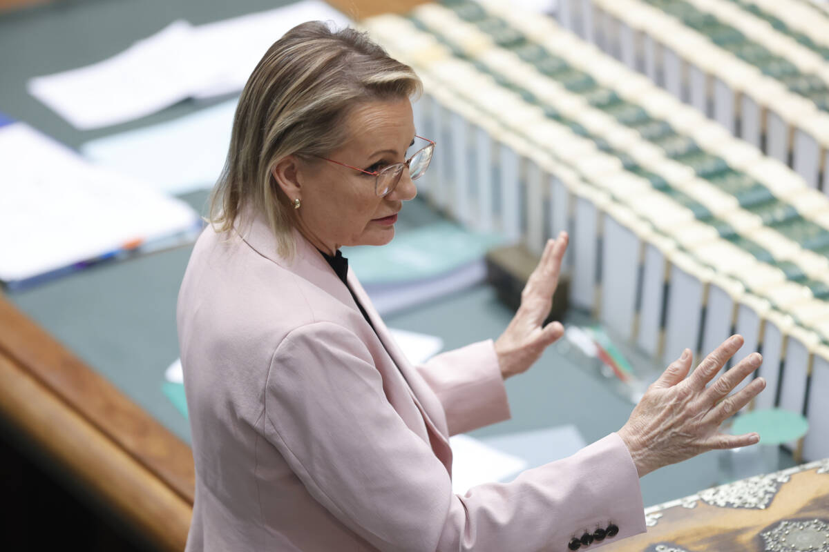 Article image for Women issues ‘at the heart’ of Australia’s future according to Sussan Ley