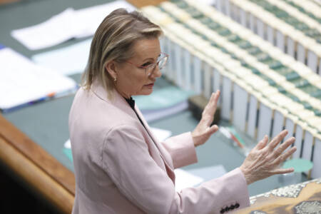 Women issues ‘at the heart’ of Australia’s future according to Sussan Ley