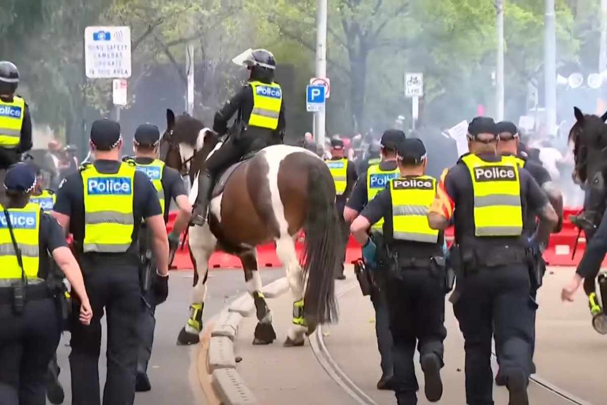 Article image for ‘Could have been a disaster’: March attendee left hospitalised following incident