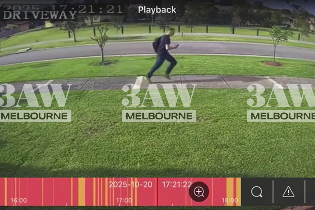 Article image for Elderly couple left with life-altering injuries after hit-run