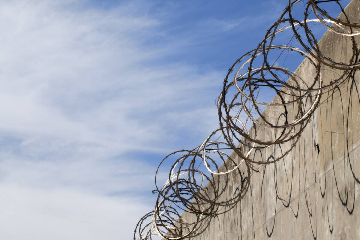 Article image for Business owner left angry after alleged thief granted bail