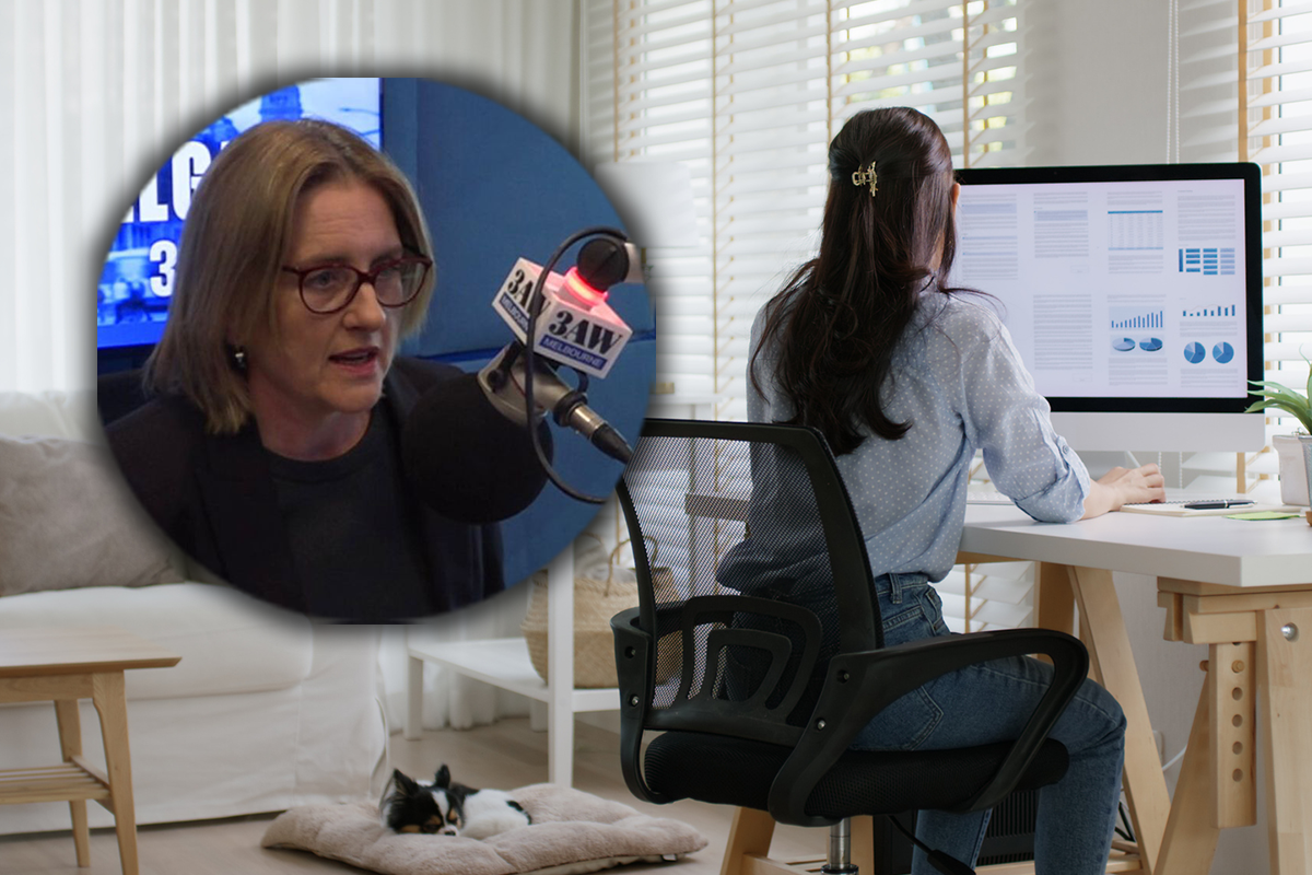 Article image for Jacinta Allan defends her government’s need to legislate the right to work from home