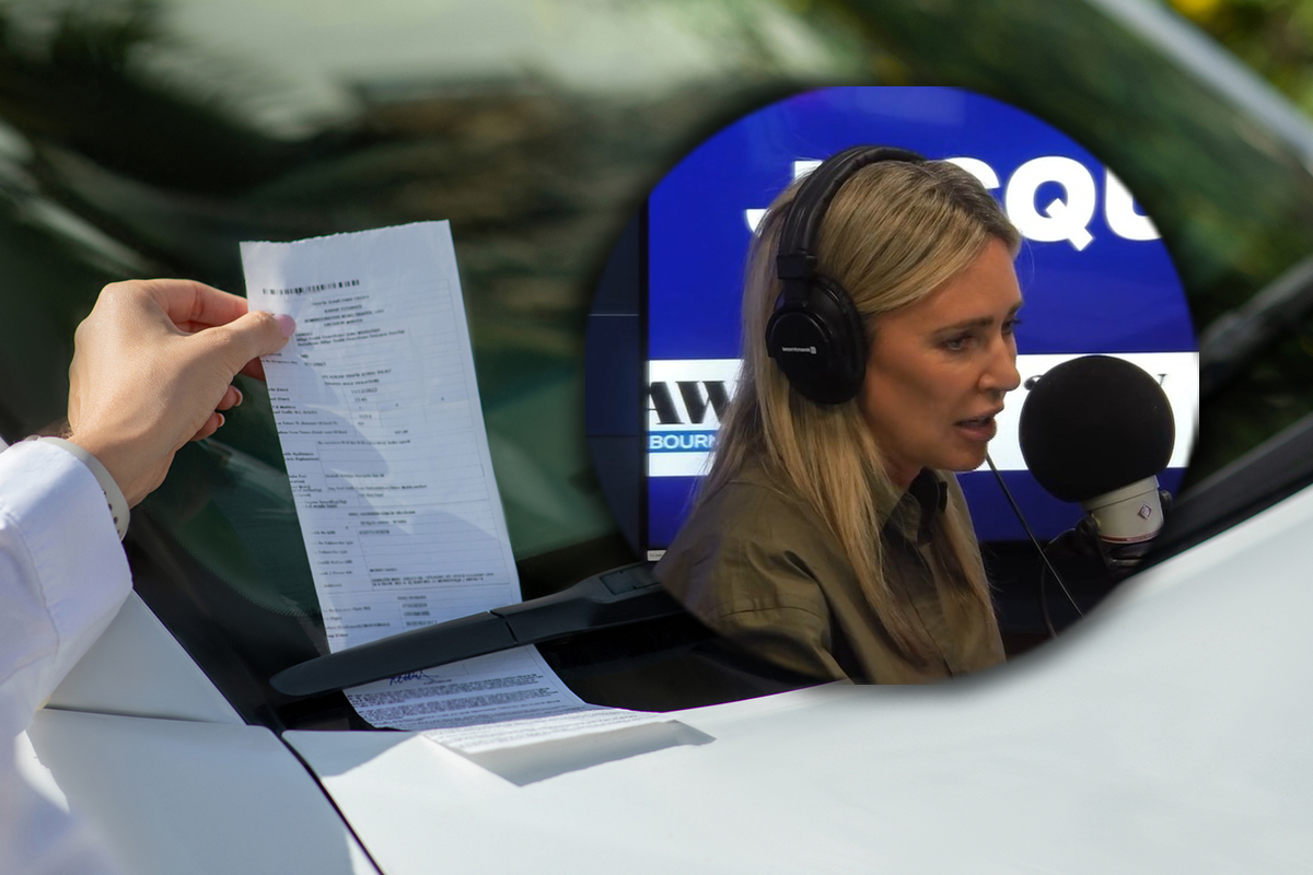 Article image for ‘That is crazy’: The ‘outrageous’ council fines Jacqui Felgate has called out