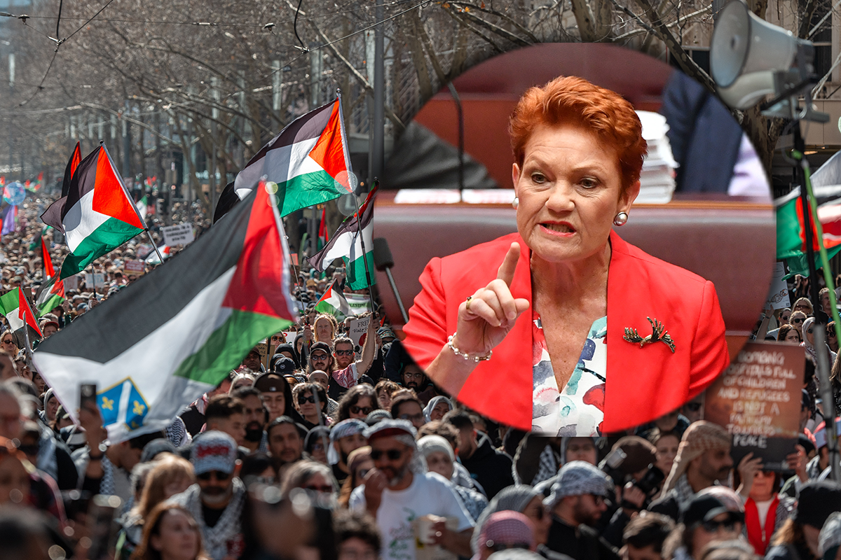 Article image for ‘Grave concerns’: Why Pauline Hanson wants Palestinian asylum seekers deported