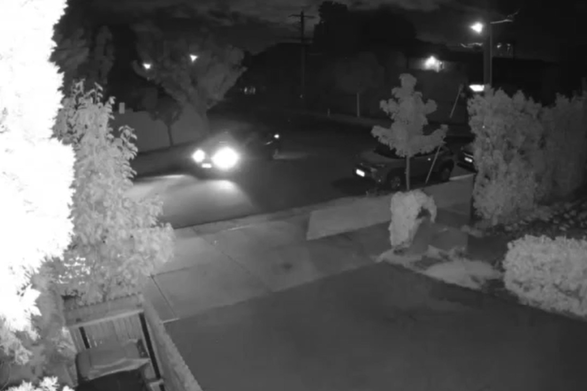 Article image for Family left rattled after intruders access their home through a pet door