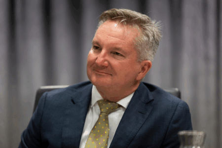 Nationals leader calls out Chris Bowen over ‘out of touch’ energy policy