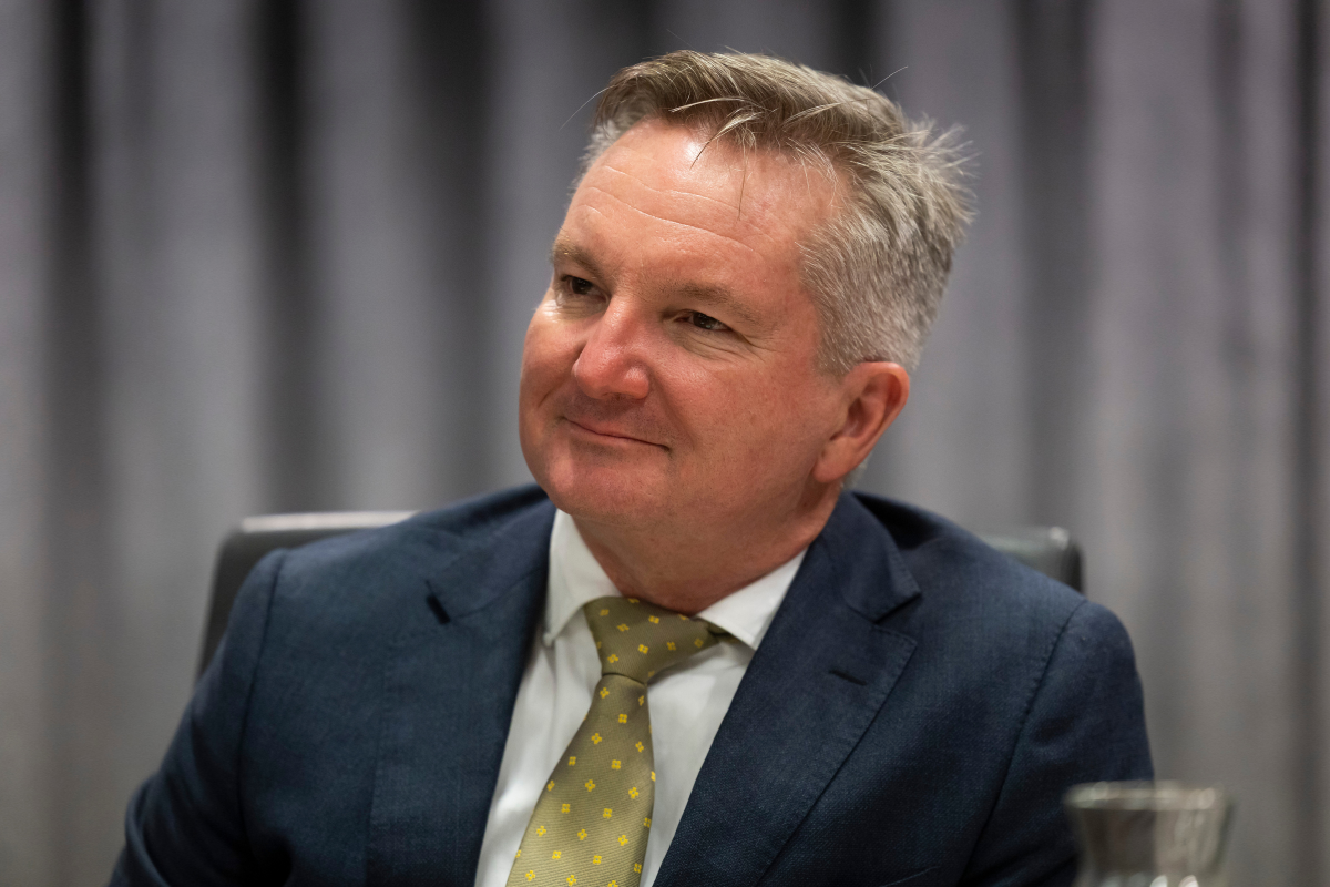 Article image for Nationals leader calls out Chris Bowen over ‘out of touch’ energy policy